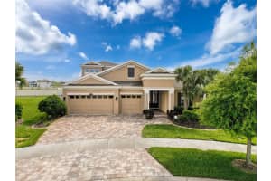 8578 Gibbons Grove Loop, LAND O LAKES