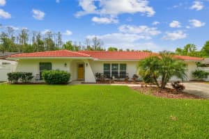4555 Debbie Ln, LUTZ