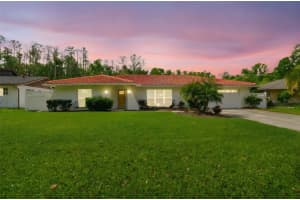 4555 DEBBIE LANE, LUTZ, FL 33559 - MLS#MFRTB8366891