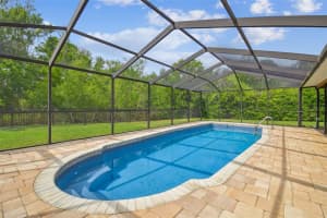 4555 DEBBIE LANE, LUTZ, FL 33559 - MLS#MFRTB8366891