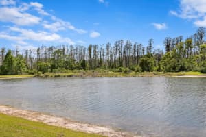 5535 SHASTA DAISY PLACE, LAND O LAKES, FL 34639 Sold 05/09/25