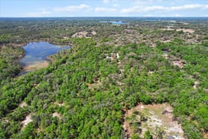 10714 ASHWOOD LANE, INVERNESS, FL 34450 Sold 11/27/25