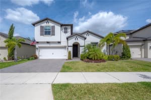 11633 SWEET TANGERINE LANE, TAMPA, FL 33626 Sold 05/23/25