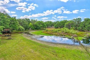 13437 MCINTOSH ROAD, THONOTOSASSA, FL 33592 Sold 05/20/25