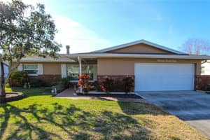 1428 COTTONWOOD TERRACE, DUNEDIN, FL 34698 - MLS#MFRTB8367086
