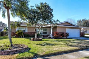 1428 COTTONWOOD TERRACE, DUNEDIN, FL 34698 - MLS#MFRTB8367086