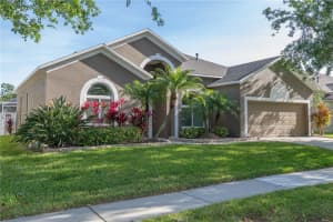 2707 ABBEY GROVE DRIVE, VALRICO, FL 33594 Sold 05/09/25