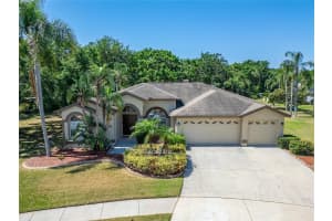 10110 VISTA POINTE DRIVE, TAMPA, FL 33635 Sold 05/29/25