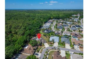 10110 VISTA POINTE DRIVE, TAMPA, FL 33635 Sold 05/29/25