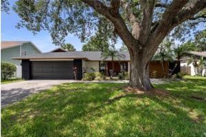4715 Kemble Ct, TAMPA