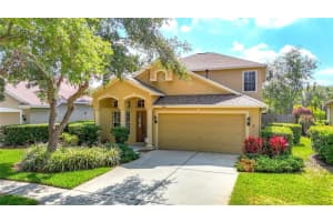 8413 FENWICK AVENUE, TAMPA, FL 33647 Sold 06/12/25