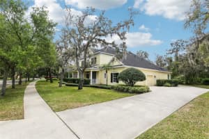 16113 TERNGLADE DRIVE, LITHIA, FL 33547 Sold 06/10/25