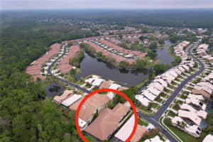 3708 DARSTON STREET, PALM HARBOR, FL 34685 Sold 06/02/25