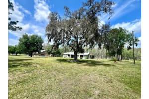 1464 MOUNT PLEASANT ROAD, GROVELAND, FL 34736 - MLS#MFRTB8367320