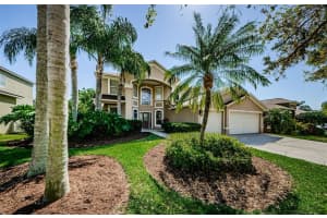 4221 SANDY SHORES DRIVE, LUTZ, FL 33558 Sold 05/21/25