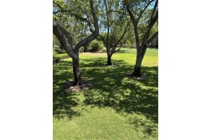 36750 US 19 HIGHWAY, PALM HARBOR, FL 34684 - MLS#MFRTB8367404