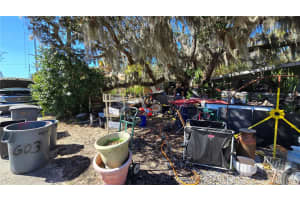 603 CYPRESS STREET, TARPON SPRINGS, FL 34689 Sold 06/04/25