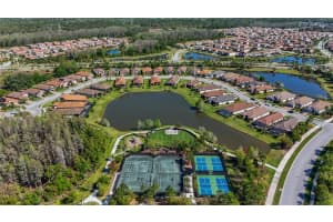 11414 JUGLANS DRIVE, ODESSA, FL 33556 - MLS#MFRTB8367477
