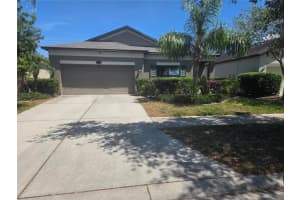 11638 Palmetto Pine St, RIVERVIEW