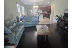11638 PALMETTO PINE STREET, RIVERVIEW, FL 33569 - MLS#MFRTB8367591