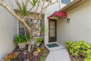 1205 HOUNDS RUN, SAFETY HARBOR, FL 34695 - MLS#MFRTB8367612