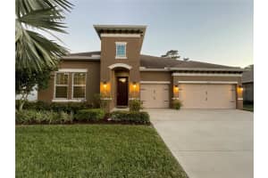 3302 GINA COURT, HOLIDAY, FL 34691 Sold 05/20/25