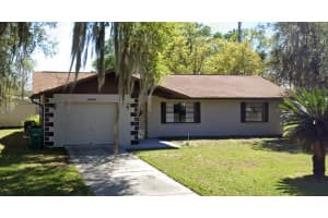 39696 Meadowood Loop, ZEPHYRHILLS