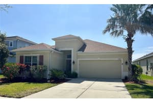 17609 BUCKINGHAM GARDEN DRIVE, LITHIA, FL 33547 Sold 06/03/25