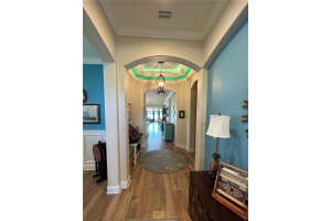 17609 BUCKINGHAM GARDEN DRIVE, LITHIA, FL 33547 Sold 06/03/25