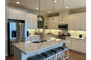 17609 BUCKINGHAM GARDEN DRIVE, LITHIA, FL 33547 Sold 06/03/25