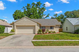 3261 PINE FOREST DRIVE, PALM HARBOR, FL 34684 Sold 07/03/25