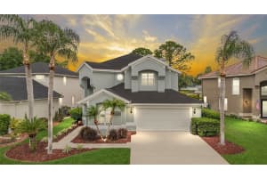 5403 AVENAL DRIVE, LUTZ, FL 33558 - MLS#MFRTB8368031