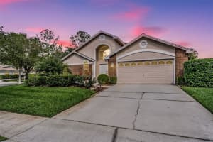 9008 Quail Creek Dr, TAMPA