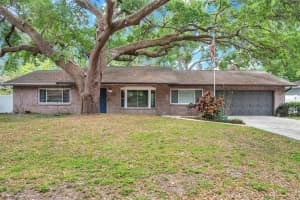 1308 W Perdiz St, TAMPA