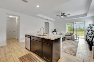 19624 LONESOME PINE DRIVE, LAND O LAKES, FL 34638 Sold 07/07/25