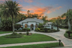 3045 DOMINION COURT, SAFETY HARBOR, FL 34695 Sold 04/28/25