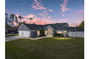 12329 PALM RIDGE DRIVE, SAN ANTONIO, FL 33576 Sold 04/30/25