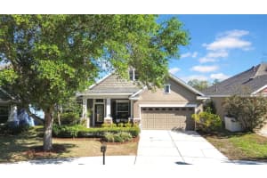15861 Starling Water Dr, LITHIA