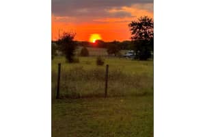 11209 JIM JORDAN ROAD, DADE CITY, FL 33525 - MLS#MFRTB8368463