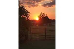 11209 JIM JORDAN ROAD, DADE CITY, FL 33525 - MLS#MFRTB8368463