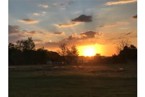 11209 JIM JORDAN ROAD, DADE CITY, FL 33525 - MLS#MFRTB8368463