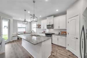 12280 LYON PINE LANE, ODESSA, FL 33556 - MLS#MFRTB8368471