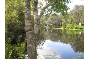 13949 FRIENDSHIP LANE, ODESSA, FL 33556 Sold 05/15/25