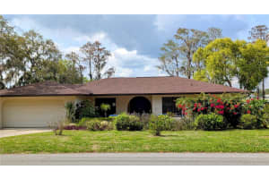 23059 GENEVA ROAD, LAND O LAKES, FL 34639 - MLS#MFRTB8368569