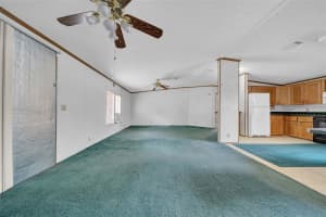 30125 CLEARVIEW DRIVE, WESLEY CHAPEL, FL 33545 Sold 06/20/25