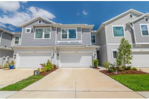 17212 Balance Cv, LAND O LAKES