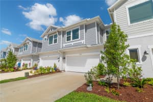 17212 BALANCE COVE, LAND O LAKES, FL 34638 Sold 09/29/25