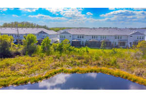 17212 BALANCE COVE, LAND O LAKES, FL 34638 Sold 09/29/25