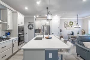 17212 BALANCE COVE, LAND O LAKES, FL 34638 Sold 09/29/25