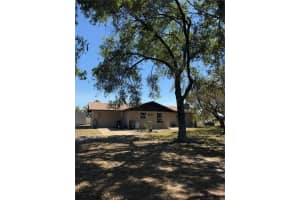 8955 RHODEN LOOP ROAD, FORT MEADE, FL 33841 - MLS#MFRTB8368581